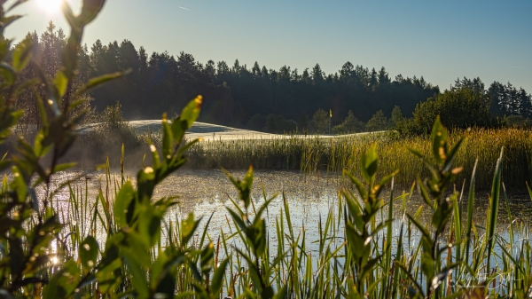 Black Stork Golf Tatry