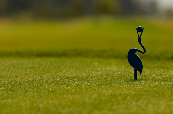 Black Stork Golf Tatry