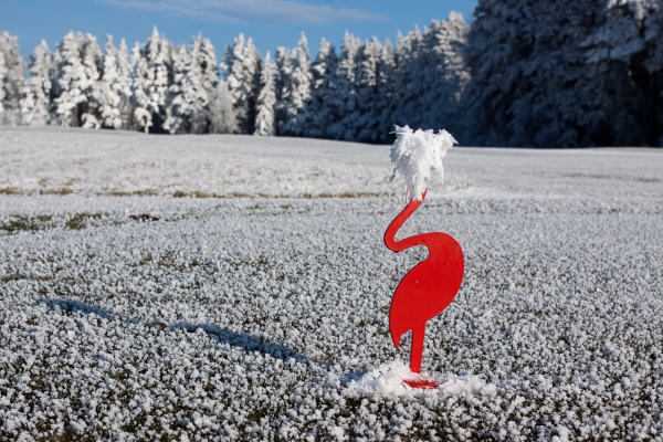 Black Stork Golf Tatry