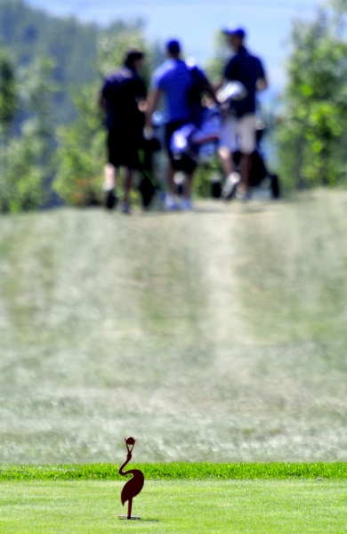 Black Stork Golf Tatry