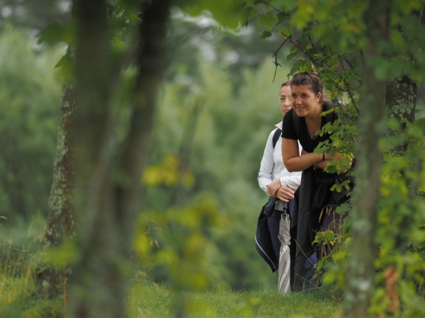 FALDO SERIES SLOVAKIA 2020